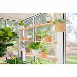 Vigoro 6 in. Golden Pothos Indoor Plant in Small White Ribbed Plastic Decor Planter (2-Pack) -KANTE Sales vigoro indoor plants co poth 3 vi wh 1f 1000