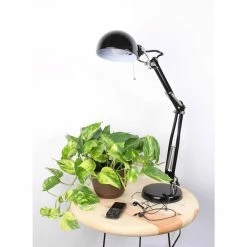 KANTE Sales -KANTE Sales vigoro indoor plants co poth 3 vi wh e1 1000