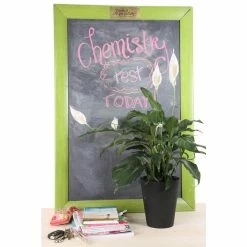 Vigoro 6 in. Peace Lily Indoor Plant in Small White Ribbed Plastic Decor Planter (2-Pack) 15 Vigoro 6 in. Peace Lily Indoor Plant in Small White Ribbed Plastic Decor Planter (2-Pack) -KANTE Sales vigoro indoor plants co sy06 3 vi wh c3 1000