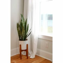 Vigoro 6 in. Sansevieria Snake Plant in Black Decor Pot 9 Vigoro 6 in. Sansevieria Snake Plant in Black Decor Pot -KANTE Sales vigoro indoor plants sans6vigoro c3 1000