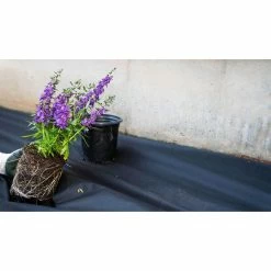 Vigoro 4 ft. x 200 ft. Point Bond Landscape Fabric -KANTE Sales vigoro landscape fabric nmv04200b 77 1000