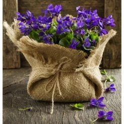 Vigoro 3 ft. x 24 ft. 100% Natural Burlap Landscape Fabric (2-Pack) 18 Vigoro 3 ft. x 24 ft. 100% Natural Burlap Landscape Fabric (2-Pack) -KANTE Sales vigoro landscape fabric nmvb0324 2pk c3 1000