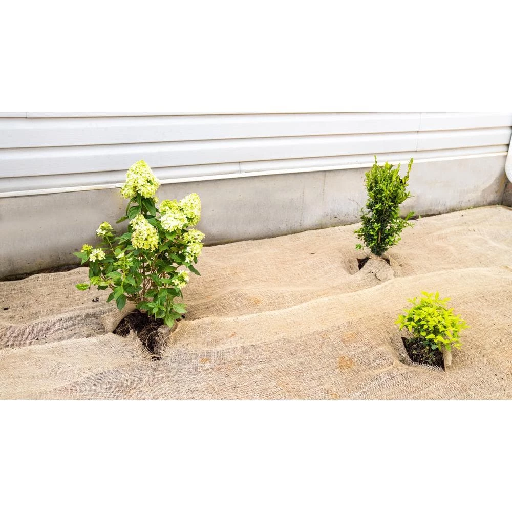 Vigoro 3 ft. x 24 ft. 100% Natural Burlap Landscape Fabric 11 Vigoro 3 ft. x 24 ft. 100% Natural Burlap Landscape Fabric - Image 9