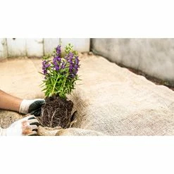 Vigoro 3 ft. x 24 ft. 100% Natural Burlap Landscape Fabric 21 Vigoro 3 ft. x 24 ft. 100% Natural Burlap Landscape Fabric -KANTE Sales vigoro landscape fabric nmvb0324 c3 1000