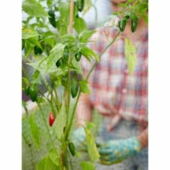 Vigoro 14 ft. x 45 ft. UV Treated Polypropylene Bird Block Netting and Barrier -KANTE Sales vigoro landscape fabric nmvbb1445 fa 1000