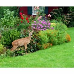 Vigoro 7 ft. x 100 ft. Polypropylene Deer Block Netting Barrier, UV Treated (5-Pack) -KANTE Sales vigoro landscape fabric nmvdb07100h 5pk 1d 1000