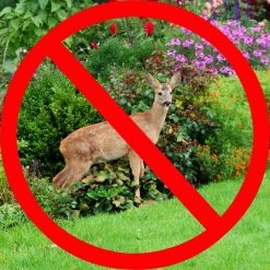 Vigoro 7 ft. x 100 ft. Polypropylene Deer Block Netting Barrier, UV Treated -KANTE Sales vigoro landscape fabric nmvdb07100h 77 1000