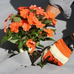 Vigoro 4 ft. x 100 ft. Matrix Grid Heavy-Duty Landscape Fabric (4-Pack) -KANTE Sales vigoro landscape fabric vpnm410085 4pk 66 1000