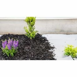 Vigoro 4 ft. x 50 ft. Matrix Grid Landscape Fabric -KANTE Sales vigoro landscape fabric vpnm45085 31 1000