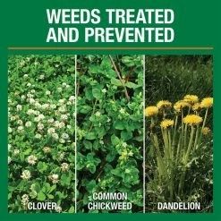 Vigoro 32 lbs. 10,000 sq. ft. Weed and Feed Weed Killer Plus Lawn Fertilizer for Florida Grass Types -KANTE Sales vigoro lawn fertilizers 22562 1 c3 1000