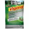 Vigoro Super Green 16 lbs. 6,220 sq. ft. Lawn Fertilizer with 5% Iron for Green Grass 1 Vigoro Super Green 16 lbs. 6,220 sq. ft. Lawn Fertilizer with 5% Iron for Green Grass -KANTE Sales vigoro lawn fertilizers 62201 64 1000