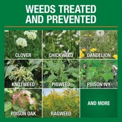 Vigoro 32 oz. 7,500 sq. ft. Spring Ready-to-Spray Concentrate Weed and Feed Lawn Fertilizer -KANTE Sales vigoro lawn fertilizers hg 52511 2 c3 1000