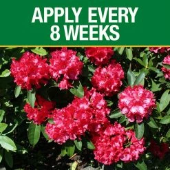 Vigoro 3.5 lb. All Season Azalea Camellia and Rhododendron Plant Food (10-8-8) -KANTE Sales vigoro plant food fertilizer 124248 1f 1000