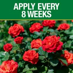 Vigoro 3.5 lb. All Season Rose Plant Food (12-6-10) 13 Vigoro 3.5 lb. All Season Rose Plant Food (12-6-10) -KANTE Sales vigoro plant food fertilizer 124250 1f 1000