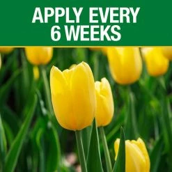 Vigoro 3.5 lb. All Season Bulb Fuel Plant Food (9-9-6) 9 Vigoro 3.5 lb. All Season Bulb Fuel Plant Food (9-9-6) -KANTE Sales vigoro plant food fertilizer 156269 1f 1000