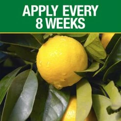 Vigoro 20 lbs. All Season Citrus and Avocado Plant Food Dry Fertilizer (6-4-6) 9 Vigoro 20 lbs. All Season Citrus and Avocado Plant Food Dry Fertilizer (6-4-6) -KANTE Sales vigoro plant food fertilizer 160327 1f 1000
