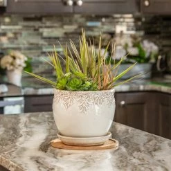 Vigoro 10 in. Bamboo Plant Saucer -KANTE Sales vigoro planter saucers bbs10vg 1f 1000