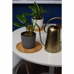Vigoro 10 in. Bamboo Plant Saucer -KANTE Sales vigoro planter saucers bbs10vg 76 1000