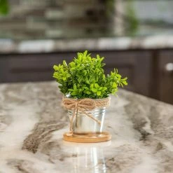 Vigoro 4 in. Bamboo Plant Saucer -KANTE Sales vigoro planter saucers bbs4vg 1f 1000