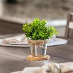 Vigoro 4 in. Bamboo Plant Saucer -KANTE Sales vigoro planter saucers bbs4vg fa 1000