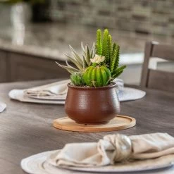 Vigoro 8 in. Bamboo Plant Saucer 12 Vigoro 8 in. Bamboo Plant Saucer -KANTE Sales vigoro planter saucers bbs8vg 1f 1000