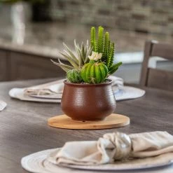 Vigoro 8 in. Bamboo Plant Saucer 13 Vigoro 8 in. Bamboo Plant Saucer -KANTE Sales vigoro planter saucers bbs8vg 44 1000