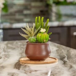 Vigoro 8 in. Bamboo Plant Saucer 14 Vigoro 8 in. Bamboo Plant Saucer -KANTE Sales vigoro planter saucers bbs8vg fa 1000