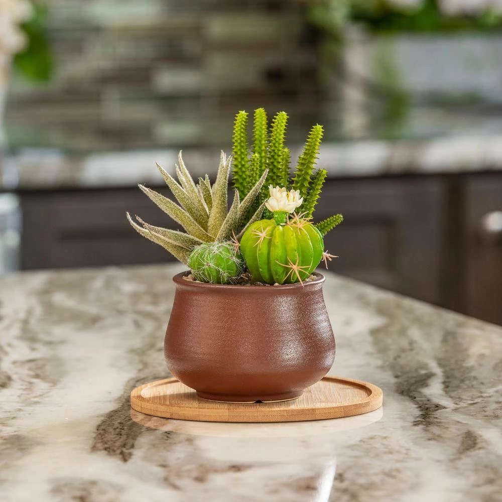 Vigoro 8 in. Bamboo Plant Saucer 8 Vigoro 8 in. Bamboo Plant Saucer - Image 6