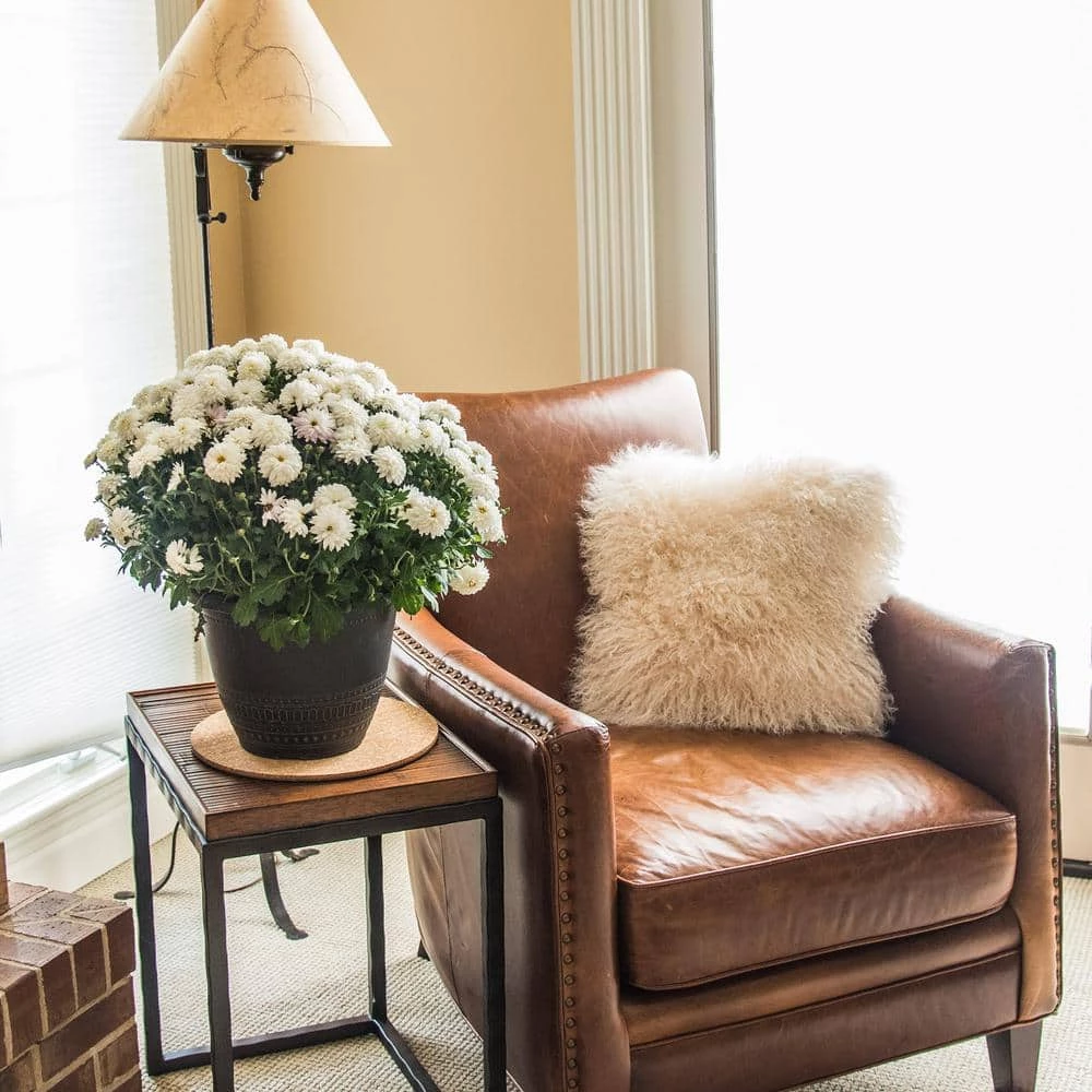 Vigoro 10 in. Cork Mat 6 Vigoro 10 in. Cork Mat - Image 4