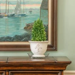 Vigoro 10 in. Heavy Duty Plant Saucer 9 Vigoro 10 in. Heavy Duty Plant Saucer -KANTE Sales vigoro planter saucers sp10vg 1f 1000