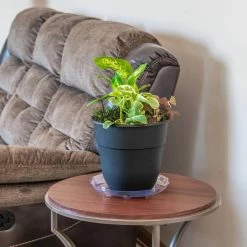 Vigoro 10 in. Heavy Duty Plant Saucer 8 Vigoro 10 in. Heavy Duty Plant Saucer -KANTE Sales vigoro planter saucers sp10vg 4f 1000