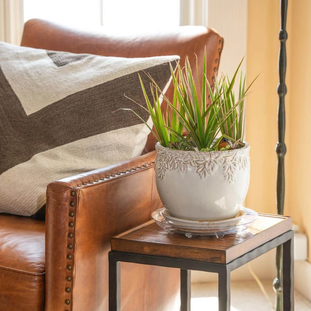 Vigoro 10 in. Heavy Duty Plant Saucer 4 Vigoro 10 in. Heavy Duty Plant Saucer - Image 2