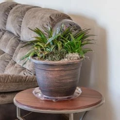 Vigoro 14 in. Heavy Duty Plant Saucer -KANTE Sales vigoro planter saucers sp14vg 44 1000