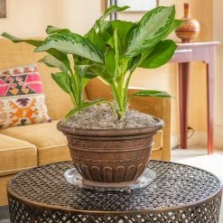 Vigoro 14 in. Heavy Duty Plant Saucer -KANTE Sales vigoro planter saucers sp14vg 4f 1000