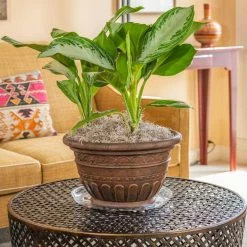 Vigoro 14 in. Heavy Duty Plant Saucer -KANTE Sales vigoro planter saucers sp14vg fa 1000