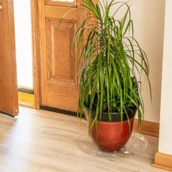 Vigoro 16 in. Heavy Duty Planter Saucer -KANTE Sales vigoro planter saucers sp16vg 4f 1000