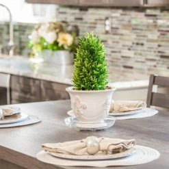 Vigoro 6 in. Heavy Duty Plant Saucer -KANTE Sales vigoro planter saucers sp6vg 1f 1000