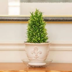 Vigoro 8 in. Heavy Duty Plant Saucer -KANTE Sales vigoro planter saucers sp8vg 1f 1000