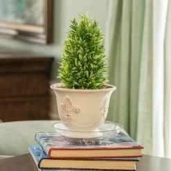 Vigoro 8 in. Heavy Duty Plant Saucer -KANTE Sales vigoro planter saucers sp8vg fa 1000