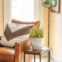 Vigoro 10 in. Plastic Plant Saucer -KANTE Sales vigoro planter saucers vs10vg 1f 1000