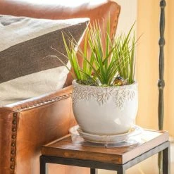 Vigoro 10 in. Plastic Plant Saucer -KANTE Sales vigoro planter saucers vs10vg 44 1000