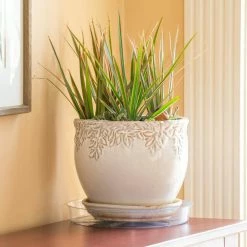 Vigoro 10 in. Plastic Plant Saucer -KANTE Sales vigoro planter saucers vs10vg fa 1000