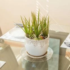 Vigoro 12 in. Plastic Plant Saucer -KANTE Sales vigoro planter saucers vs12vg 44 1000