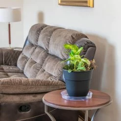 Vigoro 12 in. Plastic Plant Saucer -KANTE Sales vigoro planter saucers vs12vg 4f 1000