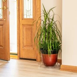 Vigoro 14 in. Plastic Plant Saucer -KANTE Sales vigoro planter saucers vs14vg 1f 1000