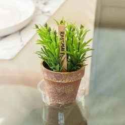 Vigoro 4 in. Plastic Plant Saucer -KANTE Sales vigoro planter saucers vs4vg 1f 1000