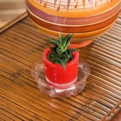 Vigoro 4 in. Plastic Plant Saucer -KANTE Sales vigoro planter saucers vs4vg 4f 1000