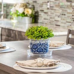 Vigoro 6 in. Plastic Plant Saucer 9 Vigoro 6 in. Plastic Plant Saucer -KANTE Sales vigoro planter saucers vs6vg 1f 1000