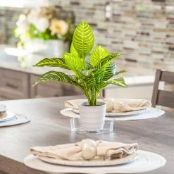 Vigoro 6 in. Plastic Plant Saucer 8 Vigoro 6 in. Plastic Plant Saucer -KANTE Sales vigoro planter saucers vs6vg 4f 1000