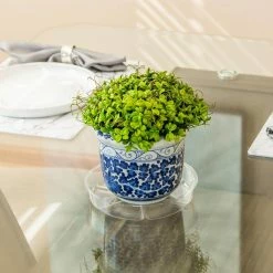 Vigoro 8 in. Plastic Plant Saucer -KANTE Sales vigoro planter saucers vs8vg 4f 1000